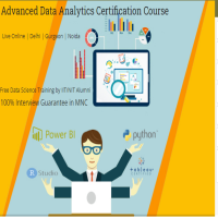 Master Data Analytics Course  Delhi Noida Ghaziabad SLA Consultants