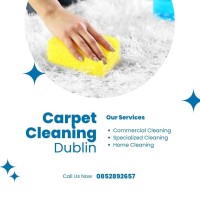 Expert Carpet Cleaning Services in Dublin for a Fresh Clean Home